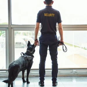 Security-10
